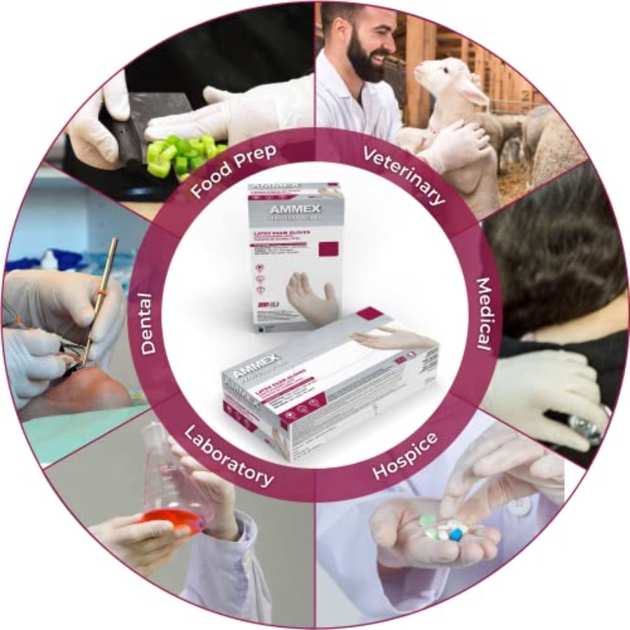 AMMEX White Latex Disposable E - Latex Disposable Glove 评论和价格