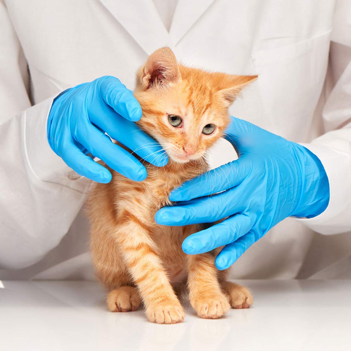 Latex-Free Blue Nitrile Exam G - Exam Glove Nitrile 评论和价格